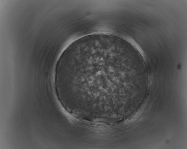 X0000094811099200711241440