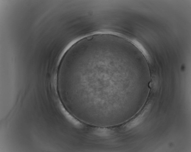 X0000094811100200711241440