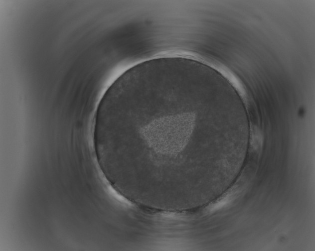 X0000094811102200711241440