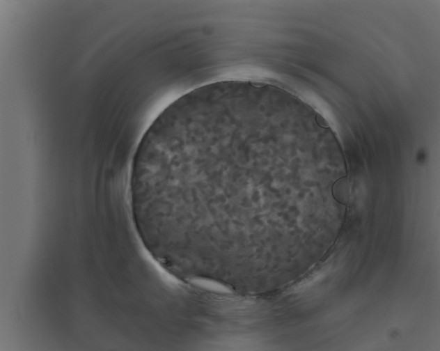 X0000094811103200711241440