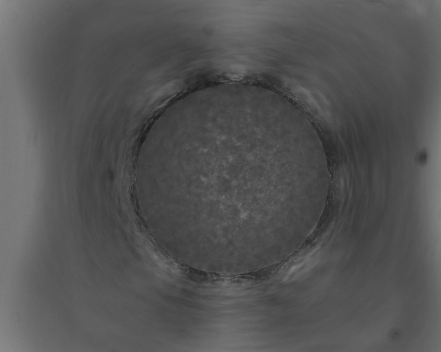 X0000094811105200711241439