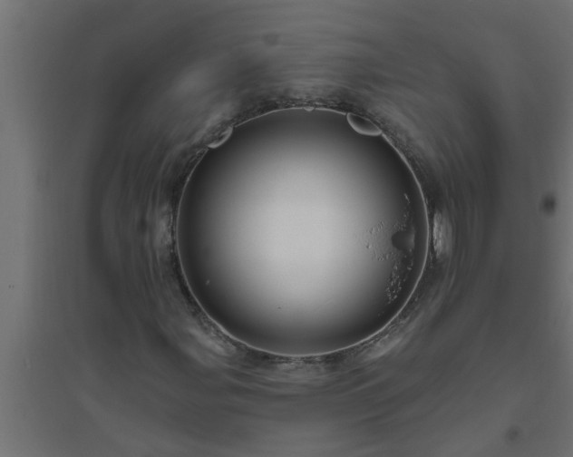 X0000094811107200711241439