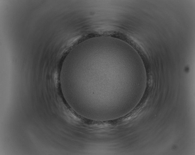 X0000094811108200711241439