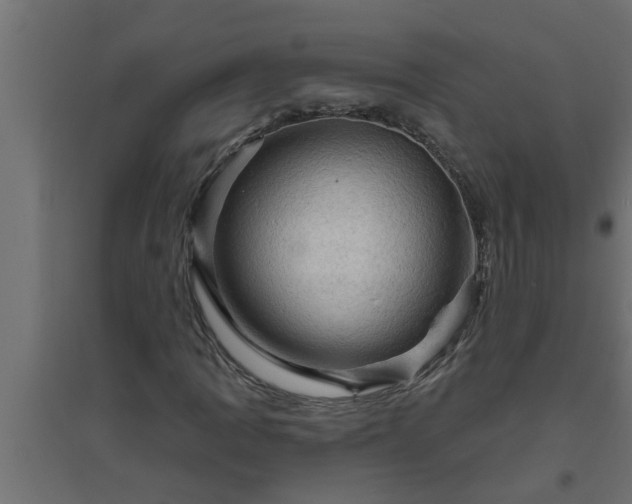 X0000094811109200711241439