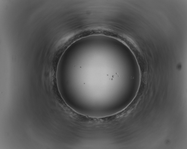 X0000094811111200711241439