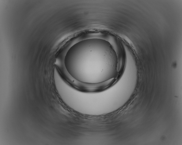 X0000094811112200711241439