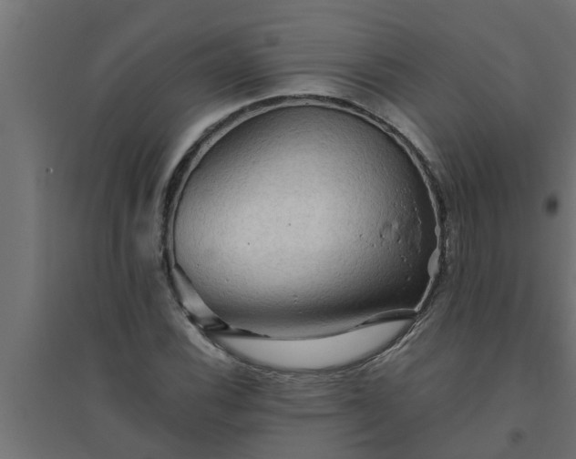 X0000094811116200711241439