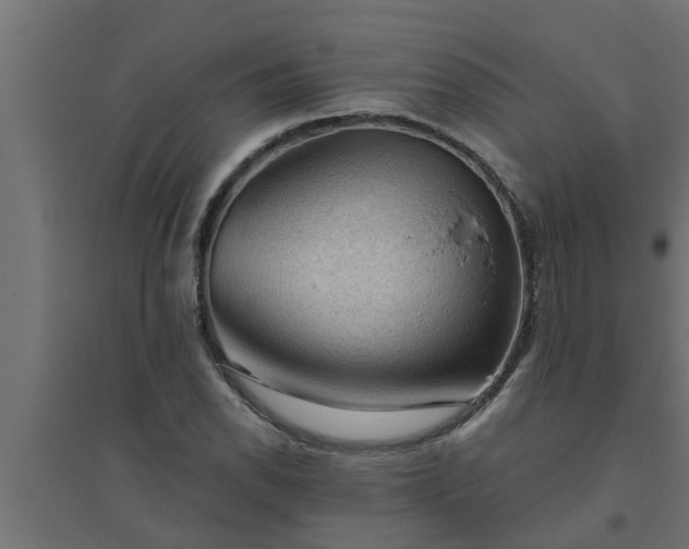 X0000094811118200711241439