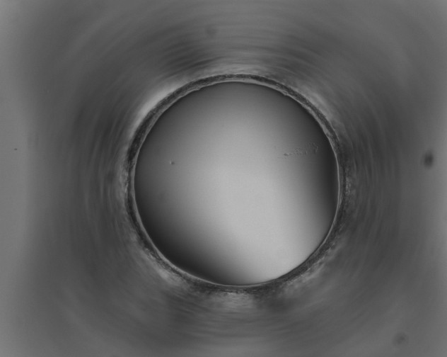 X0000094811119200711241439