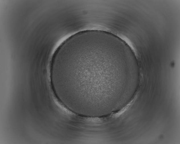 X0000094811120200711241439