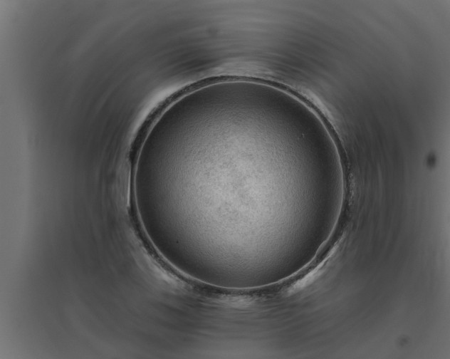 X0000094811123200711241440