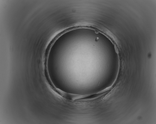 X0000094811124200711241440