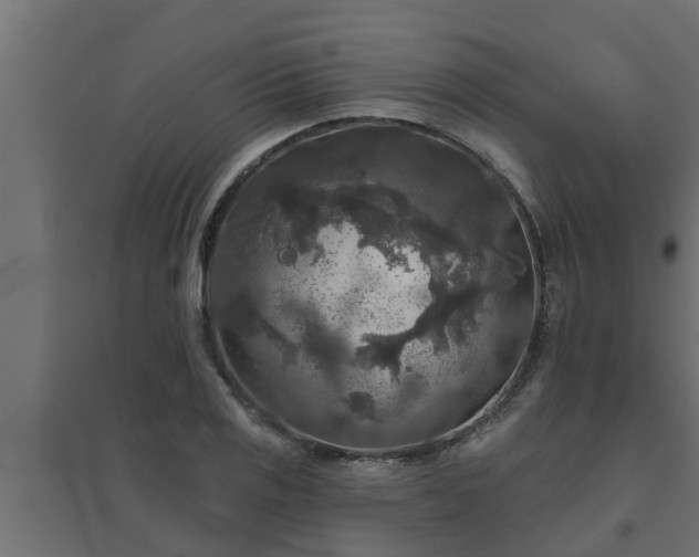 X0000094811125200711241440