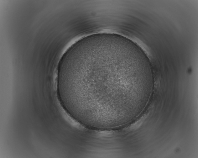 X0000094811126200711241440