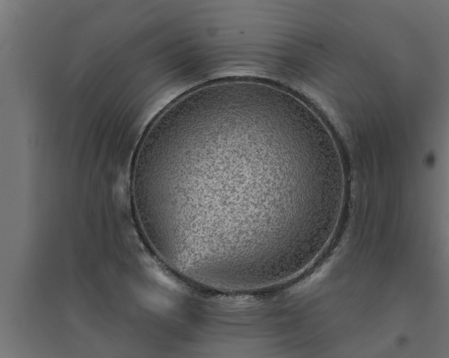 X0000094811129200711241440