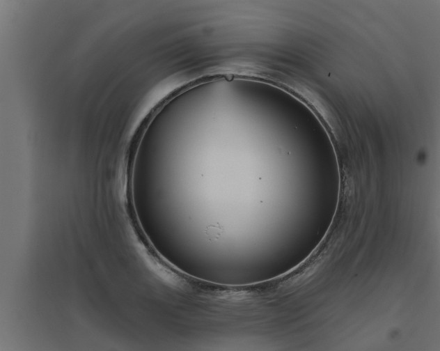 X0000094811131200711241440