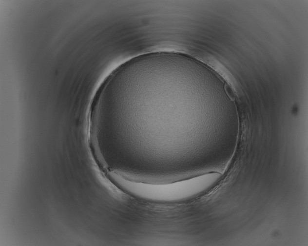 X0000094811132200711241440