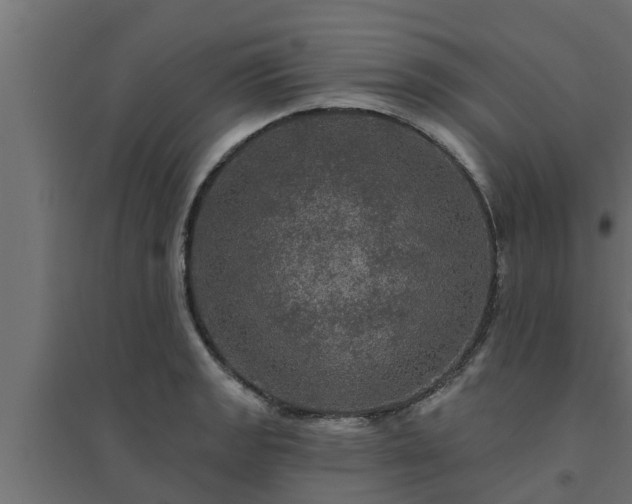 X0000094811133200711241440