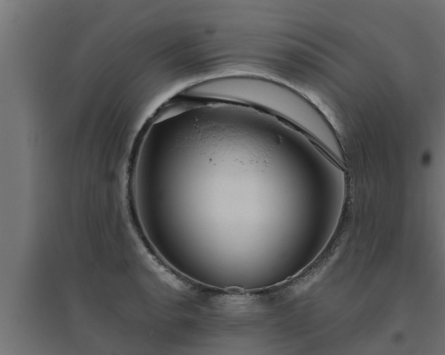 X0000094811134200711241440