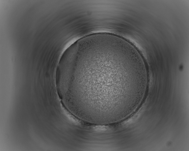 X0000094811137200711241440