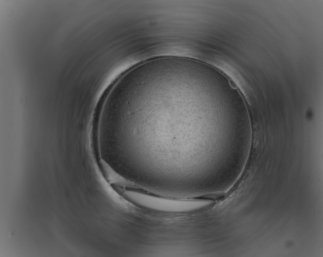 X0000094811139200711241440