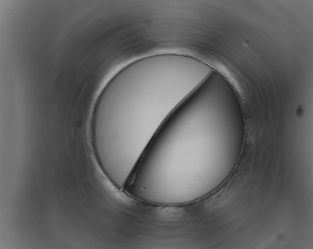 X0000094811140200711241440