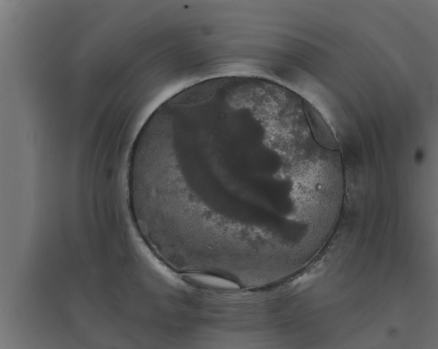 X0000094811142200711241440