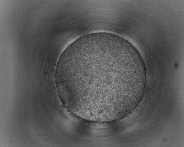 X0000094811145200711241440