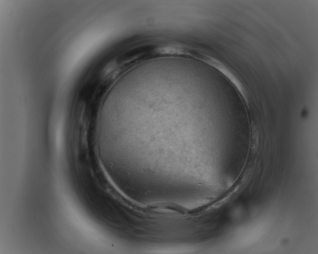 X0000094811151200711241440