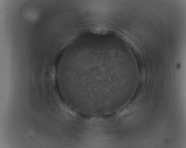 X0000094811154200711241439