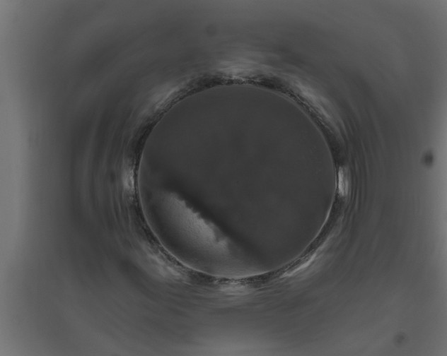 X0000094811155200711241439