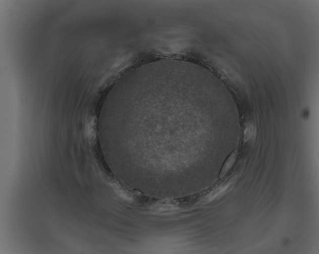 X0000094811156200711241439