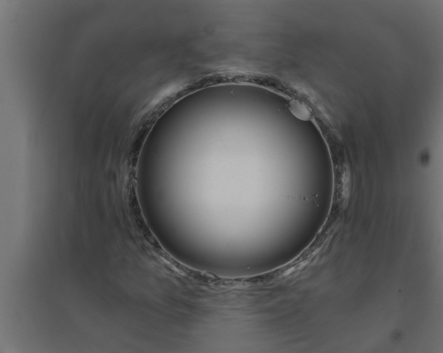 X0000094811157200711241439