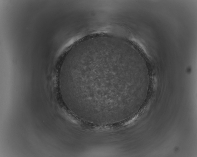 X0000094811159200711241439