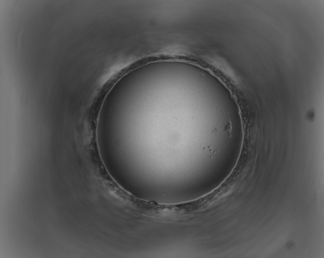 X0000094811160200711241439