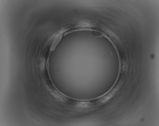 X0000094811161200711241439