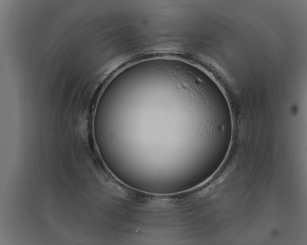 X0000094811162200711241439