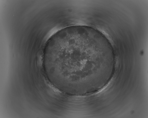 X0000094811163200711241439