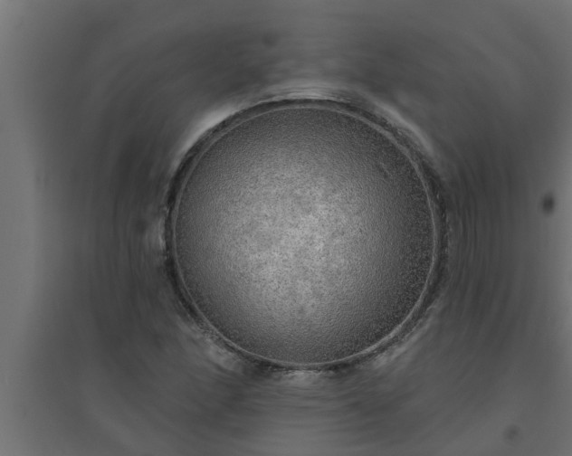 X0000094811166200711241439