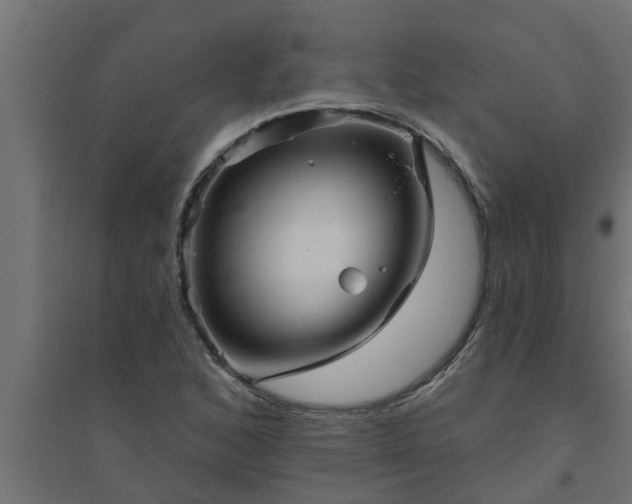 X0000094811168200711241439