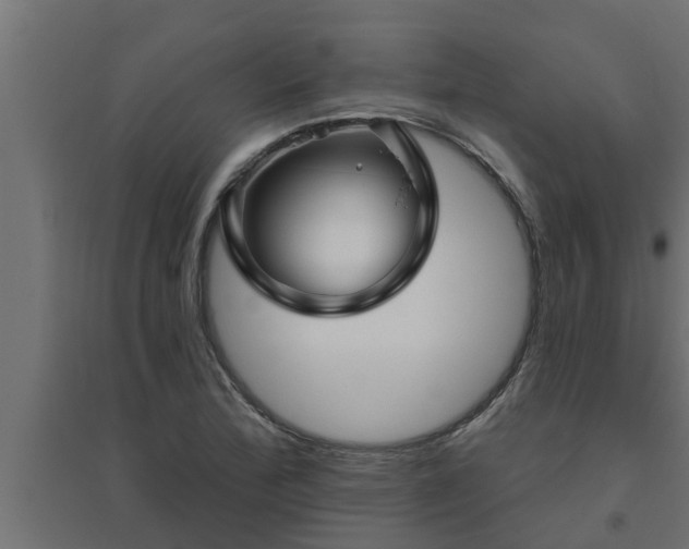 X0000094811172200711241439