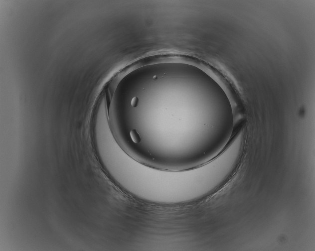 X0000094811173200711241439