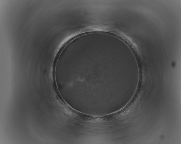 X0000094811174200711241439