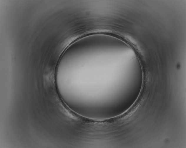 X0000094811177200711241439