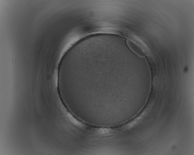 X0000094811180200711241439