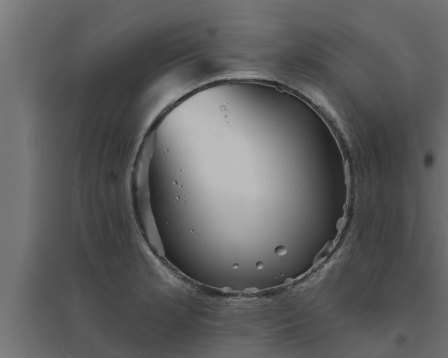 X0000094811181200711241439