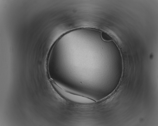 X0000094811182200711241439