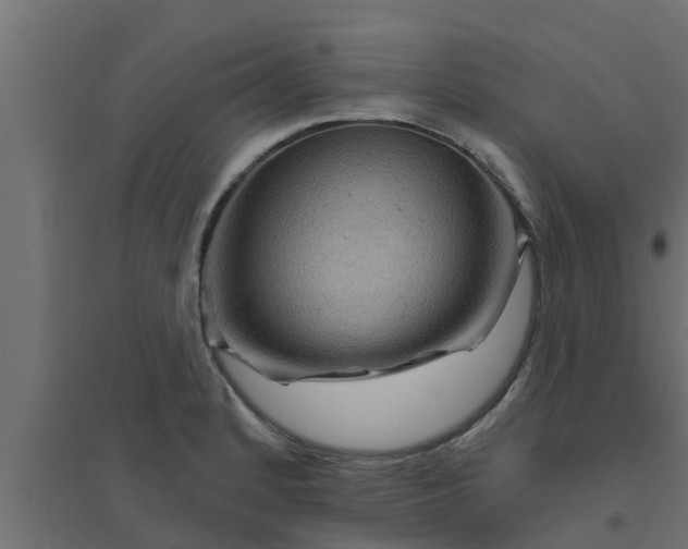 X0000094811184200711241439