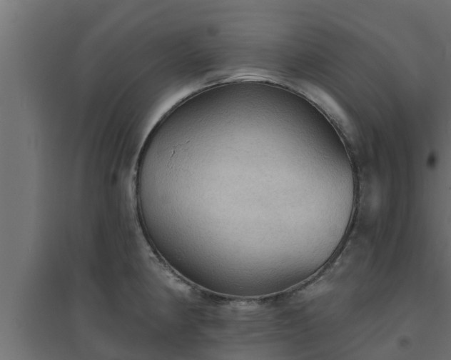 X0000094811190200711241439