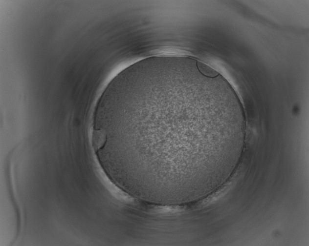 X0000094811195200711241439